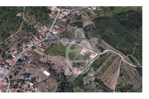 Helårsgrund i Coimbra, Coimbra, Coimbra - € 80.000 | Ref: cbr3347 - foto 10