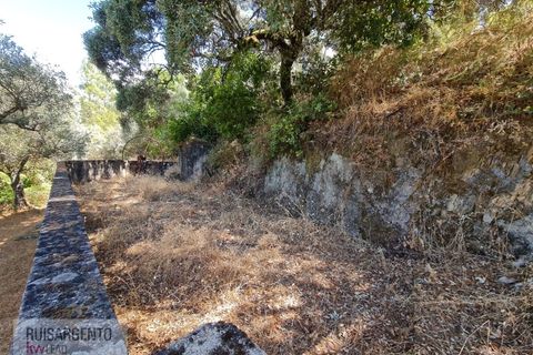 Villa i Castelo Branco, Castelo Branco, Castelo Branco - € 110.000 | Ref: CAS_217RS281025 - foto 3