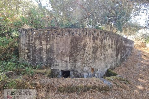 Villa i Castelo Branco, Castelo Branco, Castelo Branco - € 110.000 | Ref: CAS_217RS281025 - foto 5
