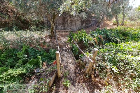 Villa i Castelo Branco, Castelo Branco, Castelo Branco - € 110.000 | Ref: CAS_217RS281025 - foto 6