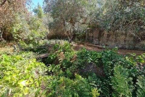 Villa i Castelo Branco, Castelo Branco, Castelo Branco - € 110.000 | Ref: CAS_217RS281025 - foto 7