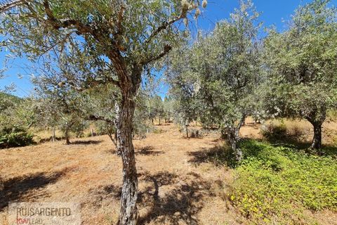 Villa i Castelo Branco, Castelo Branco, Castelo Branco - € 110.000 | Ref: CAS_217RS281025 - foto 8