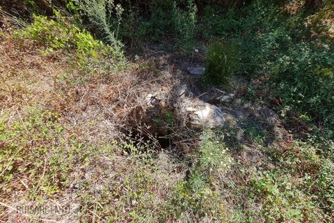Villa i Castelo Branco, Castelo Branco, Castelo Branco - € 110.000 | Ref: CAS_217RS281025 - foto 9