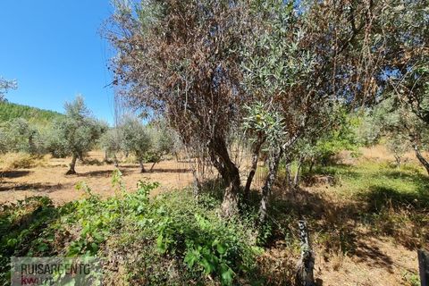 Villa i Castelo Branco, Castelo Branco, Castelo Branco - € 110.000 | Ref: CAS_217RS281025 - foto 11