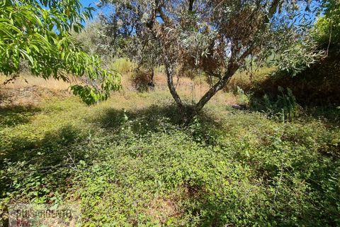 Villa i Castelo Branco, Castelo Branco, Castelo Branco - € 110.000 | Ref: CAS_217RS281025 - foto 13