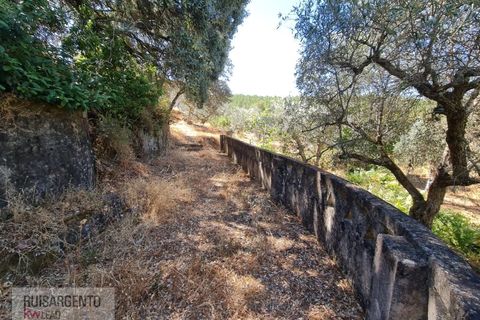 Villa i Castelo Branco, Castelo Branco, Castelo Branco - € 110.000 | Ref: CAS_217RS281025 - foto 14