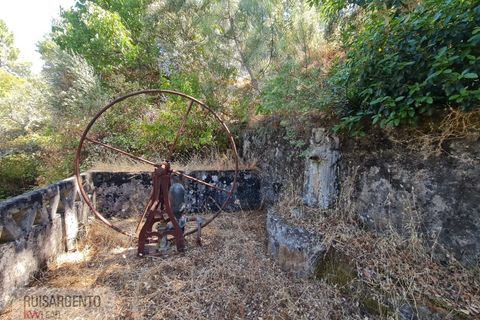 Villa i Castelo Branco, Castelo Branco, Castelo Branco - € 110.000 | Ref: CAS_217RS281025 - foto 16