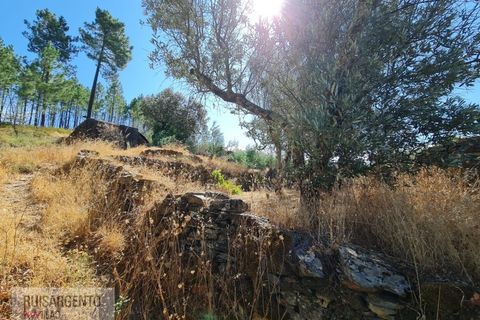 Villa i Castelo Branco, Castelo Branco, Castelo Branco - € 110.000 | Ref: CAS_217RS281025 - foto 17