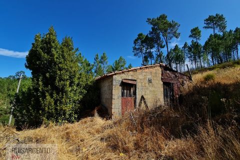 Villa i Castelo Branco, Castelo Branco, Castelo Branco - € 110.000 | Ref: CAS_217RS281025 - foto 18