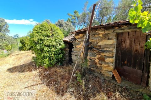 Villa i Castelo Branco, Castelo Branco, Castelo Branco - € 110.000 | Ref: CAS_217RS281025 - foto 19