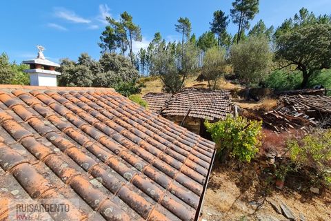 Villa i Castelo Branco, Castelo Branco, Castelo Branco - € 110.000 | Ref: CAS_217RS281025 - foto 26
