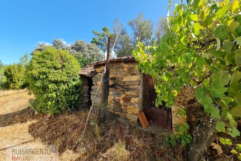 Villa i Castelo Branco, Castelo Branco, Castelo Branco - € 110.000 | Ref: CAS_217RS281025 - foto 30