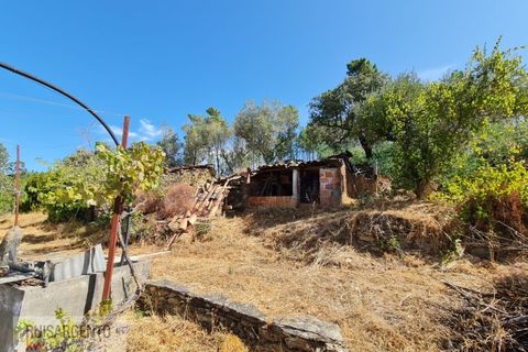 Villa i Castelo Branco, Castelo Branco, Castelo Branco - € 110.000 | Ref: CAS_217RS281025 - foto 31