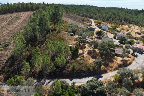 Villa i Castelo Branco, Castelo Branco, Castelo Branco - € 110.000 | Ref: CAS_217RS281025 - foto 34