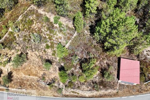 Villa i Castelo Branco, Castelo Branco, Castelo Branco - € 110.000 | Ref: CAS_217RS281025 - foto 36