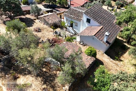 Villa i Castelo Branco, Castelo Branco, Castelo Branco - € 110.000 | Ref: CAS_217RS281025 - foto 38