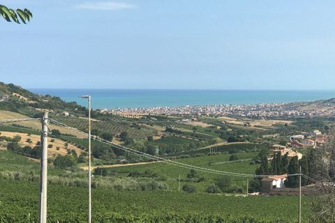 Erhvervsejendom i Colonnella, Teramo, Colonnella - € 240.000 | Ref: 6249 - foto 1