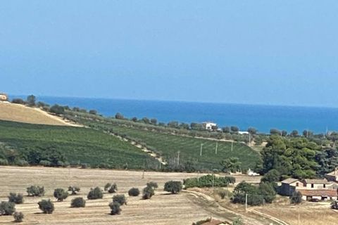 Erhvervsejendom i Colonnella, Teramo, Colonnella - € 240.000 | Ref: 6249 - foto 2