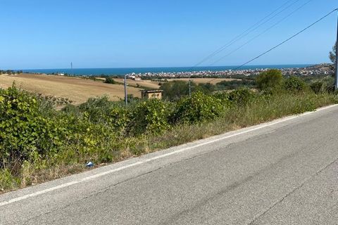 Erhvervsejendom i Colonnella, Teramo, Colonnella - € 240.000 | Ref: 6249 - foto 3
