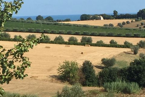 Erhvervsejendom i Colonnella, Teramo, Colonnella - € 240.000 | Ref: 6249 - foto 5