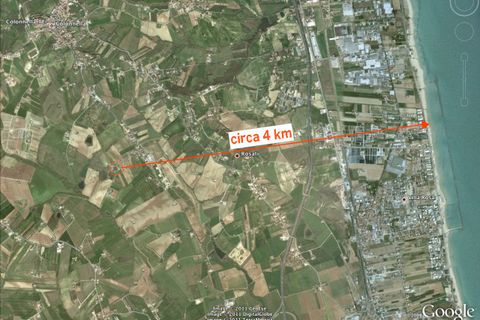Erhvervsejendom i Colonnella, Teramo, Colonnella - € 240.000 | Ref: 6249 - foto 7