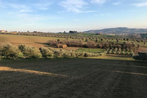 Erhvervsejendom i Colonnella, Teramo, Colonnella - € 240.000 | Ref: 6249 - foto 12