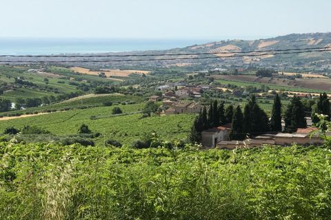 Erhvervsejendom i Colonnella, Teramo, Colonnella - € 240.000 | Ref: 6249 - foto 13