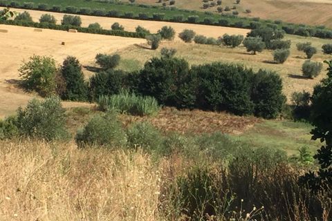Erhvervsejendom i Colonnella, Teramo, Colonnella - € 240.000 | Ref: 6249 - foto 14