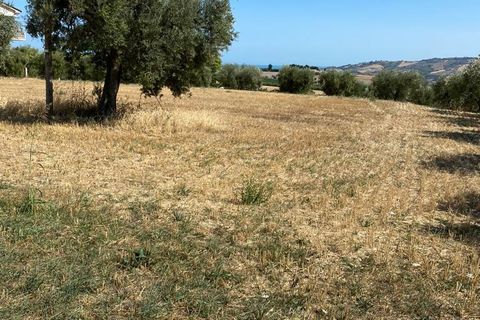 Erhvervsejendom i Colonnella, Teramo, Colonnella - € 240.000 | Ref: 6249 - foto 15