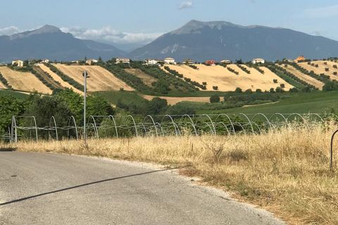 Erhvervsejendom i Colonnella, Teramo, Colonnella - € 240.000 | Ref: 6249 - foto 16