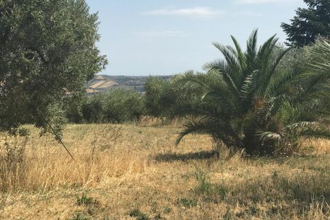 Erhvervsejendom i Colonnella, Teramo, Colonnella - € 240.000 | Ref: 6249 - foto 17