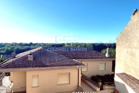 Lejlighed i Cellere, Viterbo, Cellere - € 35.000 | Ref: CBI105-1176-425 - foto 13