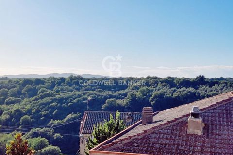 Lejlighed i Cellere, Viterbo, Cellere - € 35.000 | Ref: CBI105-1176-425 - foto 15