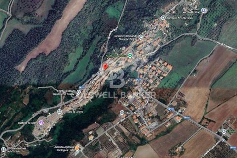 Lejlighed i Cellere, Viterbo, Cellere - € 35.000 | Ref: CBI105-1176-425 - foto 18