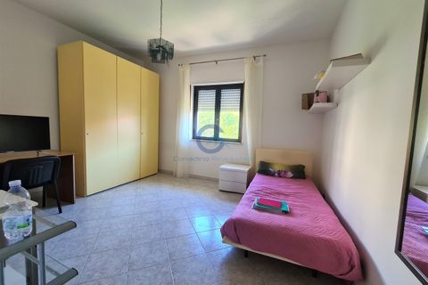 Studio in Catanzaro, Catanzaro, Catanzaro - € 250/month | Ref: CZ01-AA1770 - photo 10