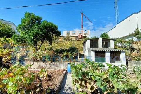 Villa i Vila Real, Vila Real, Vila Real - € 300.000 | Ref: CAS_1449 - foto 28