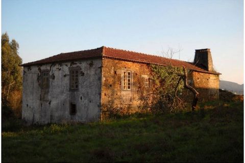 Farm i Caminha, Viana do Castelo, Caminha - € 470.000 | Ref: A782025 - foto 3