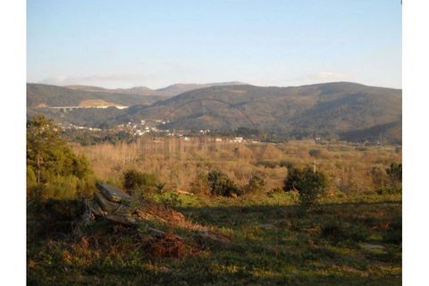 Farm i Caminha, Viana do Castelo, Caminha - € 470.000 | Ref: A782025 - foto 6