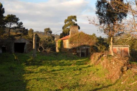 Farm i Caminha, Viana do Castelo, Caminha - € 470.000 | Ref: A782025 - foto 7