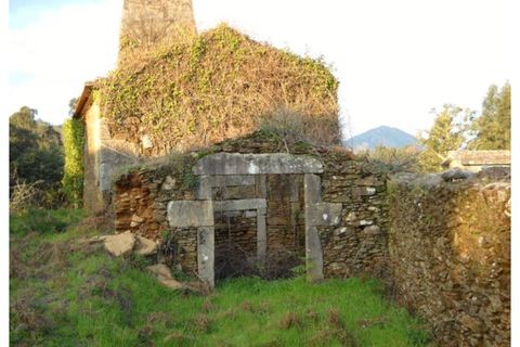 Farm i Caminha, Viana do Castelo, Caminha - € 470.000 | Ref: A782025 - foto 9