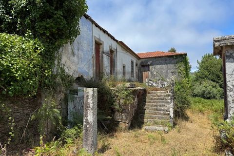 Farm i Caminha, Viana do Castelo, Caminha - € 470.000 | Ref: A782025 - foto 14