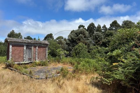 Farm i Caminha, Viana do Castelo, Caminha - € 470.000 | Ref: A782025 - foto 15