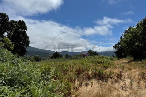 Farm i Caminha, Viana do Castelo, Caminha - € 470.000 | Ref: A782025 - foto 18