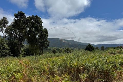 Farm i Caminha, Viana do Castelo, Caminha - € 470.000 | Ref: A782025 - foto 19