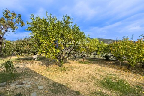 Lejlighed i Bordighera, Imperia, Bordighera - € 295.000 | Ref: 14068 - foto 34