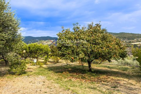 Lejlighed i Bordighera, Imperia, Bordighera - € 295.000 | Ref: 14068 - foto 42