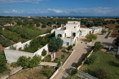 Villa a Monopoli, Bari, Monopoli - € 1.800.000 | Ref: 12003/2025 - foto 3