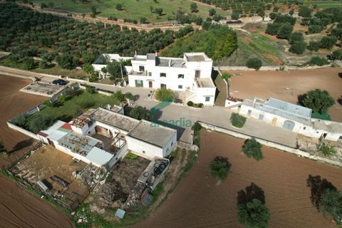 Villa a Monopoli, Bari, Monopoli - € 1.800.000 | Ref: 12003/2025 - foto 5
