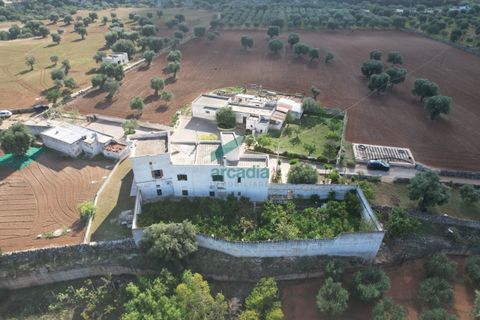 Villa a Monopoli, Bari, Monopoli - € 1.800.000 | Ref: 12003/2025 - foto 26