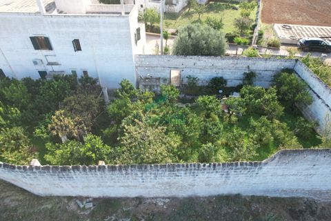 Villa a Monopoli, Bari, Monopoli - € 1.800.000 | Ref: 12003/2025 - foto 27